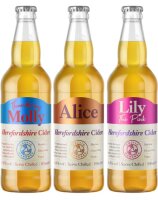 Celtic Marches - Lady Collection - 6x 0,5l Cider