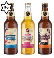 Celtic Marches - Pin up Collection - 6x 0,5l Cider