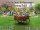 Muttertags-Bollerwagen Tasting-Tour mit Tammy