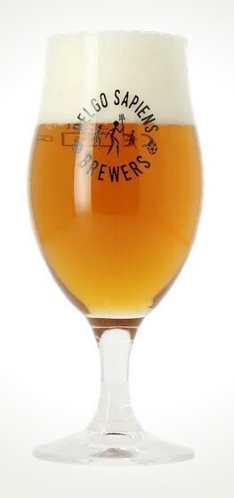 Belgo Sapiens - Bierglas - 25cl Tulpe