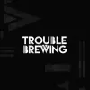 Trouble Brewing - True Stereo 30l - 5,1% alc.vol. - West Coast IPA